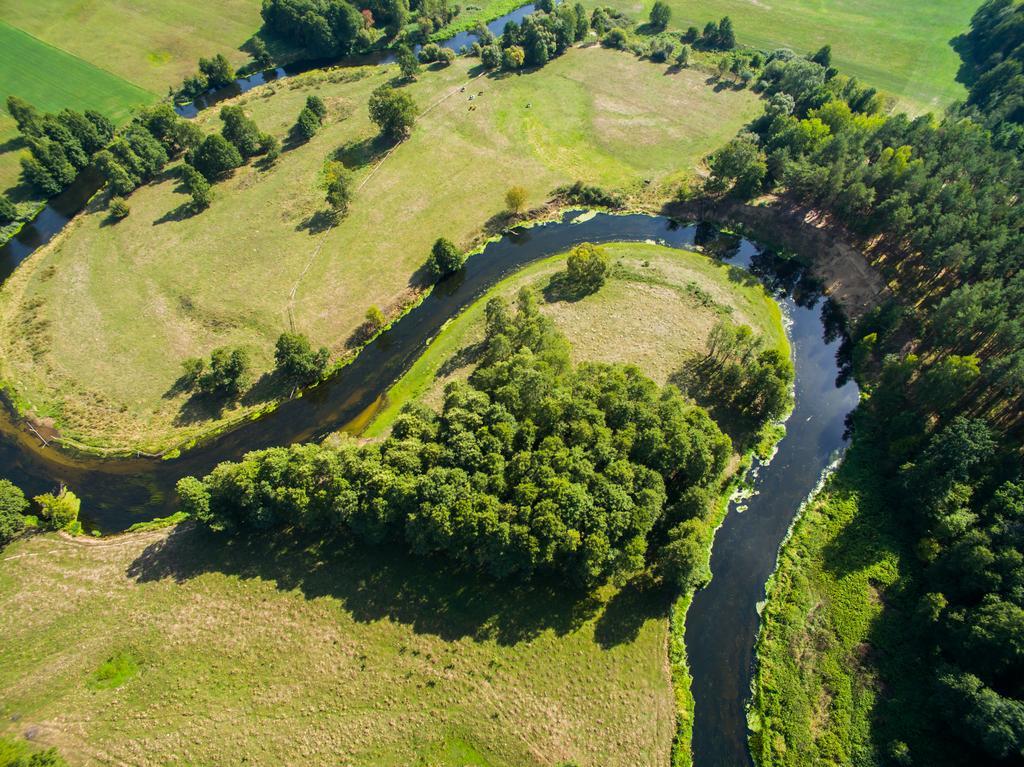 Hotel Bonifacio Spa&Sport Resort Sochocin Eksteriør bilde